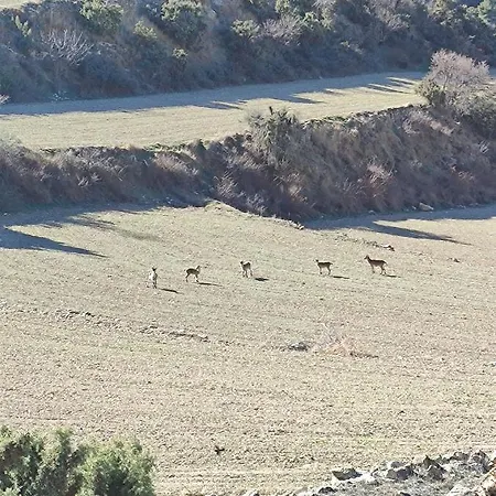 Сasa de vacaciones Rural Casa Marco Maestrazgo Teruel Luco de Bordon